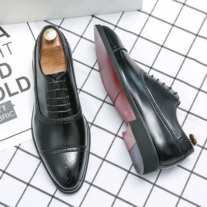 Oxford Royal Brogue - Black
